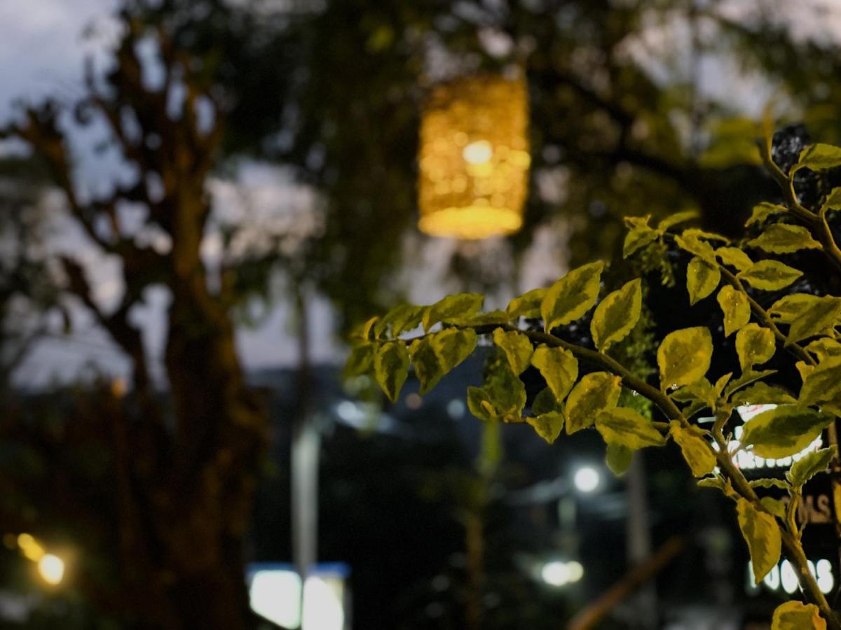Mad Monkey Hostel And Lounge Ella Ngoại thất bức ảnh